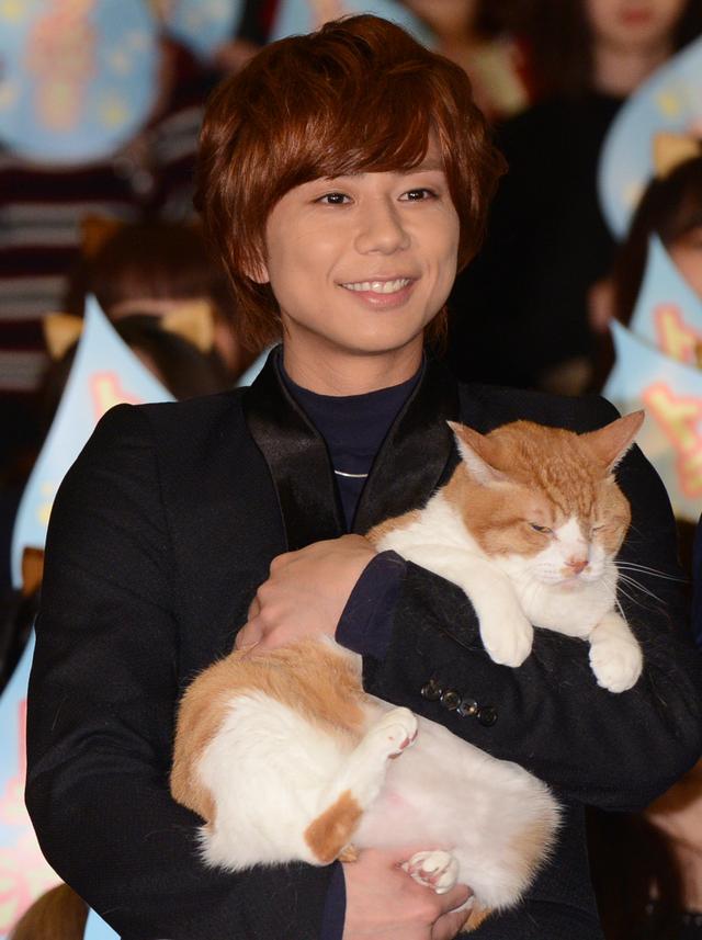画像3: 猫になったファンがキャストをお出迎え!