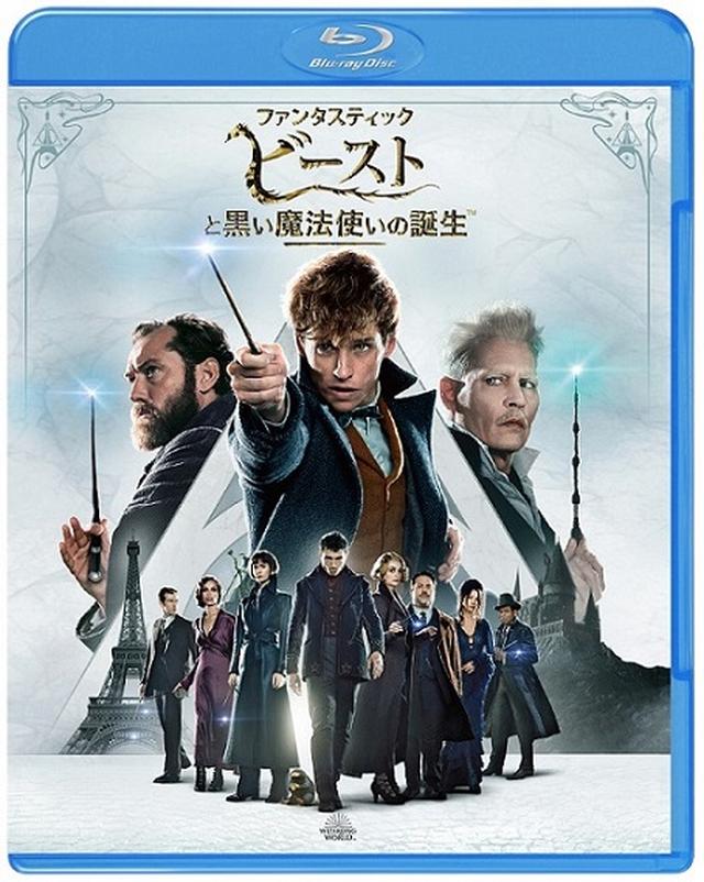 画像: 『ファンタスティック・ビーストと黒い魔法使いの誕生』 ブルーレイ&DVD発売・レンタル中 発売・販売元:ワーナー・ブラザース ホームエンターテイメント WIZARDING WORLD and all related characters and elements are trademarks of and © Warner Bros. Entertainment Inc. Wizarding World™ Publishing Rights © J.K. Rowling. © 2018 Warner Bros. Entertainment