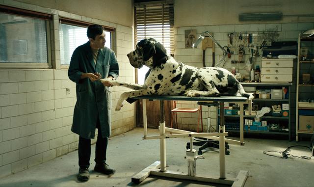 画像: サスペンス・ホラー イタリアの鬼才監督が放つ衝撃作