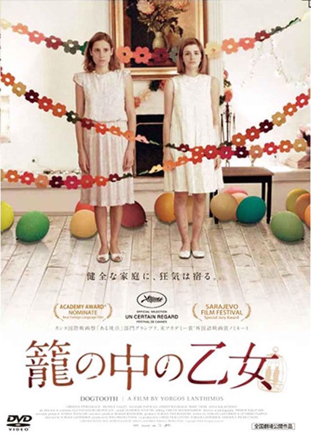 画像4: 奇妙 キテレツ 摩訶不思議...ハマる!ヨルゴス・ランティモスの世界