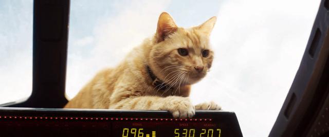 画像: 01:サミュエル・L・ジャクソンの猫の扱いにみなビックリ。
