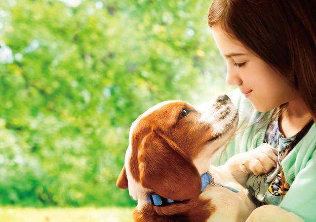 画像: 愛犬と飼い主が紡ぐ極上ラブストーリーが再び!