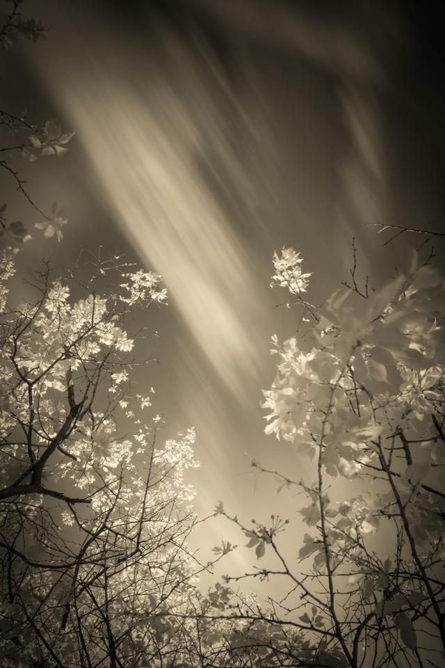 画像2: 写真家、安井進さんの写真展が9/10(火)から西麻布で開催