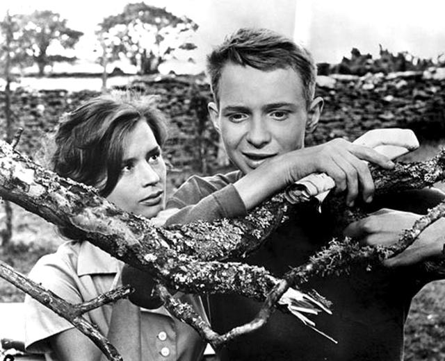 画像: 『鏡の中にある如く』©1961 AB SVENSK FILMINDUSTR