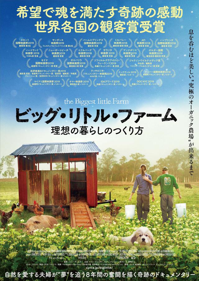 画像: 「あなたは自然がもたらすこの奇跡に驚嘆するだろう」