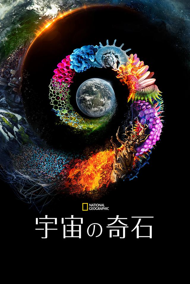 画像: 「宇宙の奇石」は6月11日よりディズニープラスで配信予定/© 2020 NGC Network US, LLC. All rights reserved.