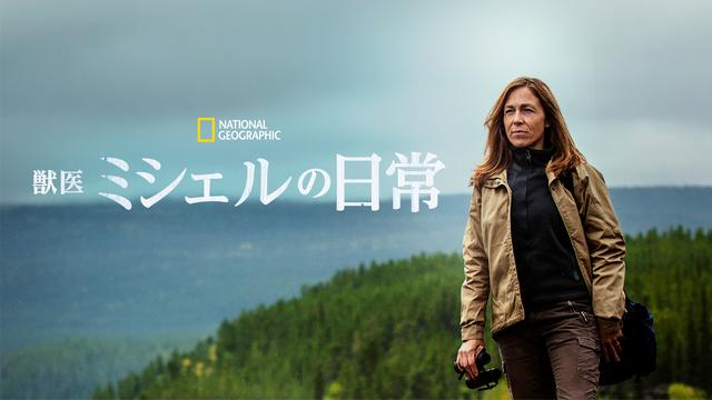 画像1: © 2020 NGC Network US, LLC. All rights reserved.