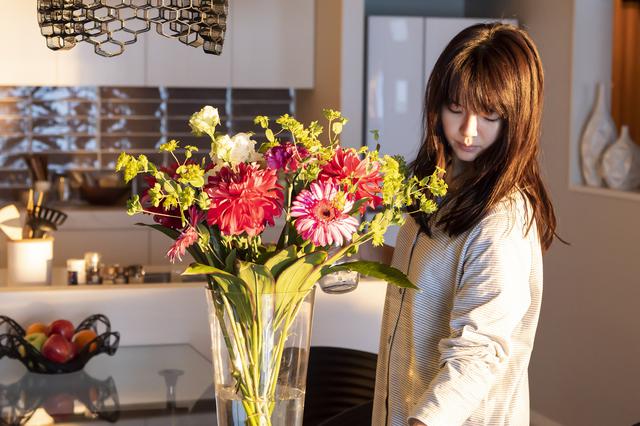 画像2: 多部未華子出演映画『空に住む』岸井ゆきの、美村里江、岩田剛典ら出演キャスト写真が公開