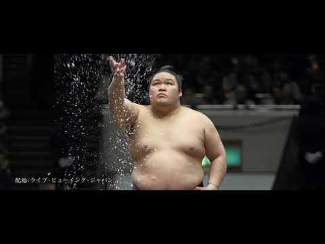 日本が誇る国技 相撲 の魅力を描いた 大相撲 ドキュメンタリー映画が海外初上映 相撲道 サムライを継ぐ者たち Screen Online スクリーンオンライン