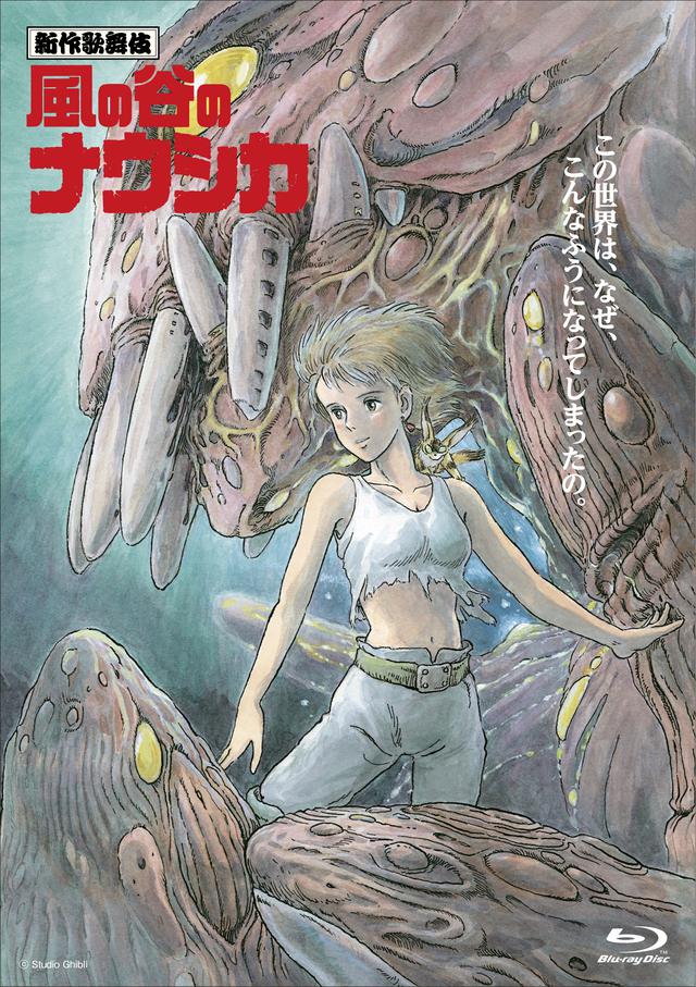 画像: 特製リバーシブル・ジャケット仕様