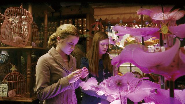 画像: 「ハリー・ポッターと謎のプリンス」より