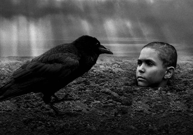 画像: 第15位 「異端の鳥」(2019)