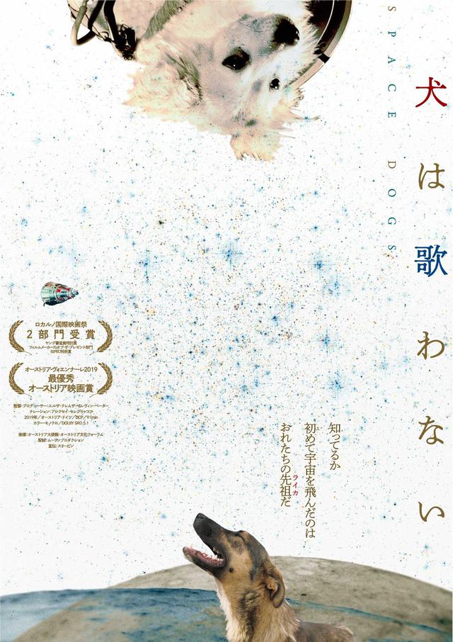画像: 犬の世界へと誘われる新感覚ドキュメンタリー『犬は歌わない』公開決定