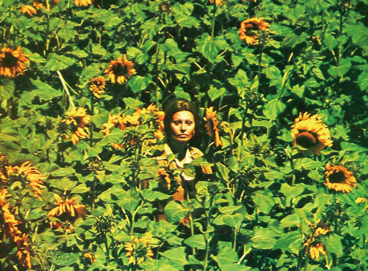 映画でウクライナをもっと深く知ろう!/名作の舞台やアクション作品の撮影地など多数 (1/2) SCREEN ONLINE(スクリーンオンライン)