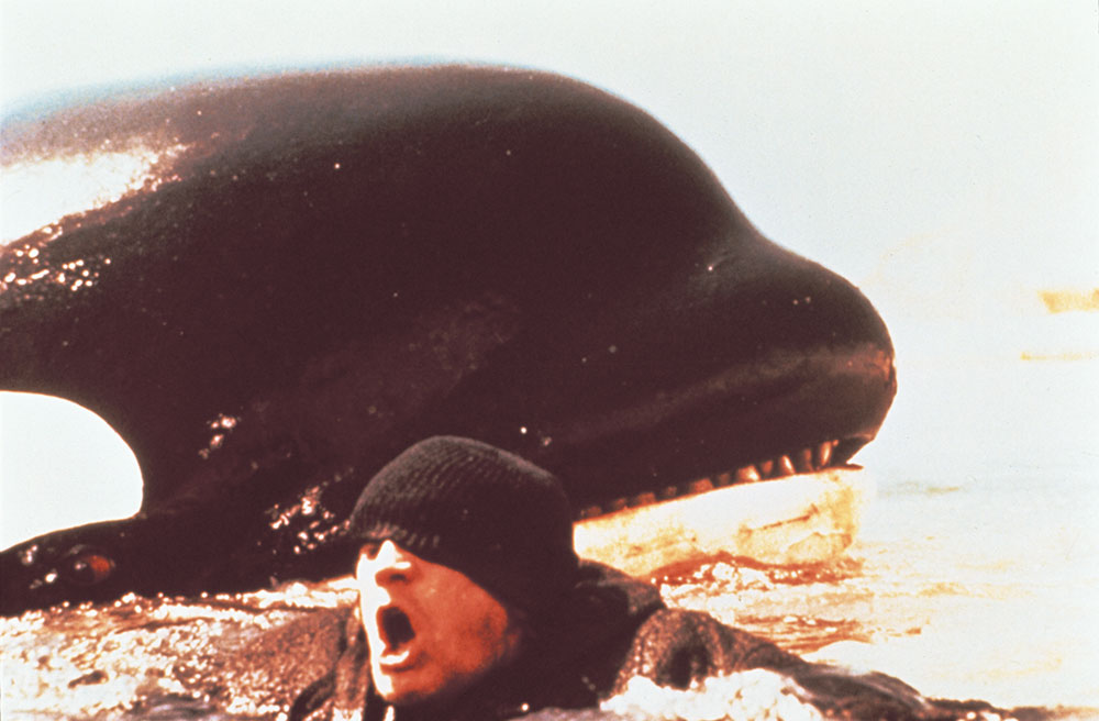 画像: 『オルカ』(1977)