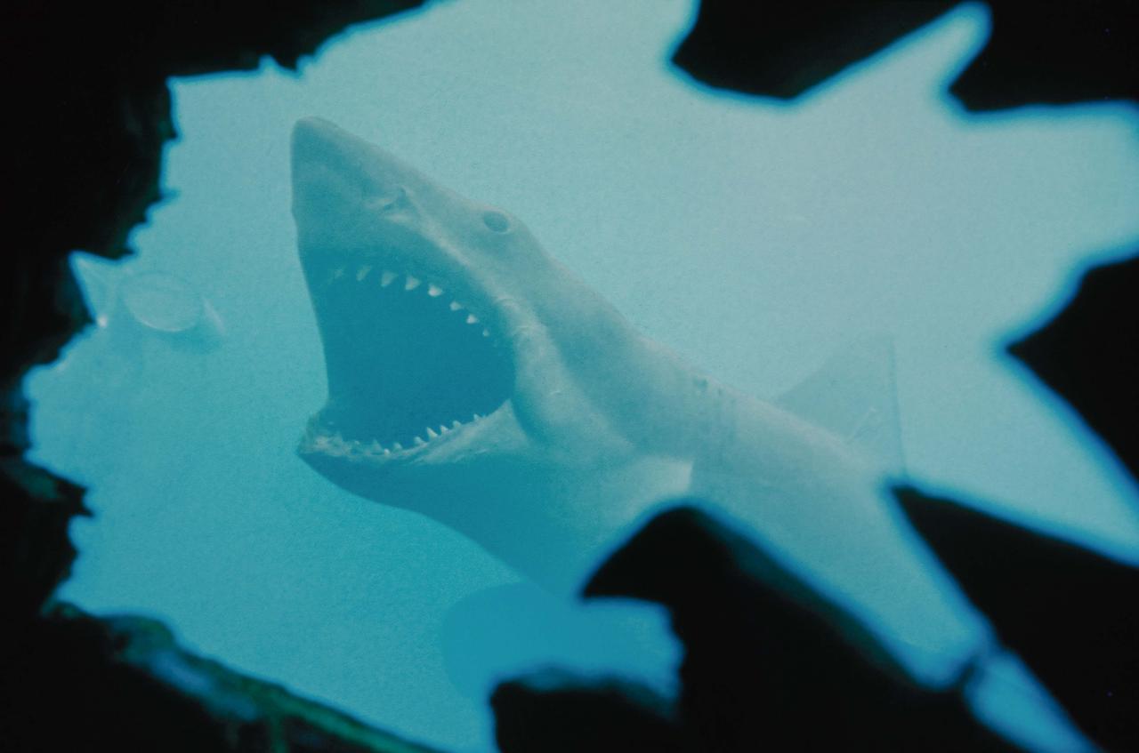 ジョーズ』製作50周年記念特集】スティーヴン・スピルバーグの伝説は