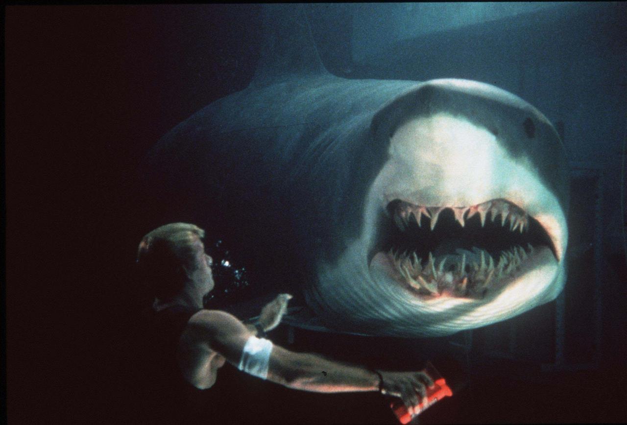 画像: 『ディープ・ブルー』が公開されたのは『ジョーズ』の24年後 Photo by Getty Images