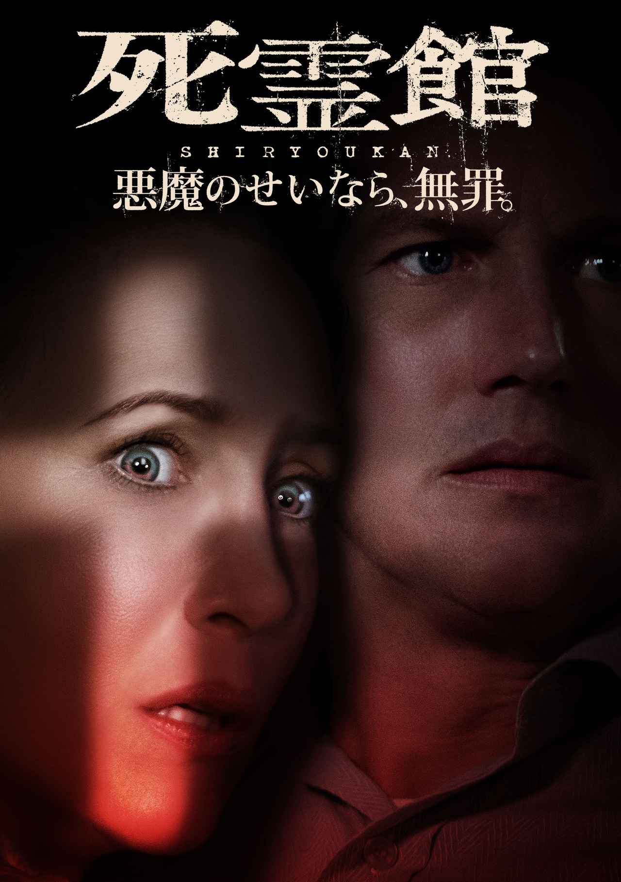 画像12: すべては実話から始まった ウォーレン夫妻が手がけた恐怖の事件簿