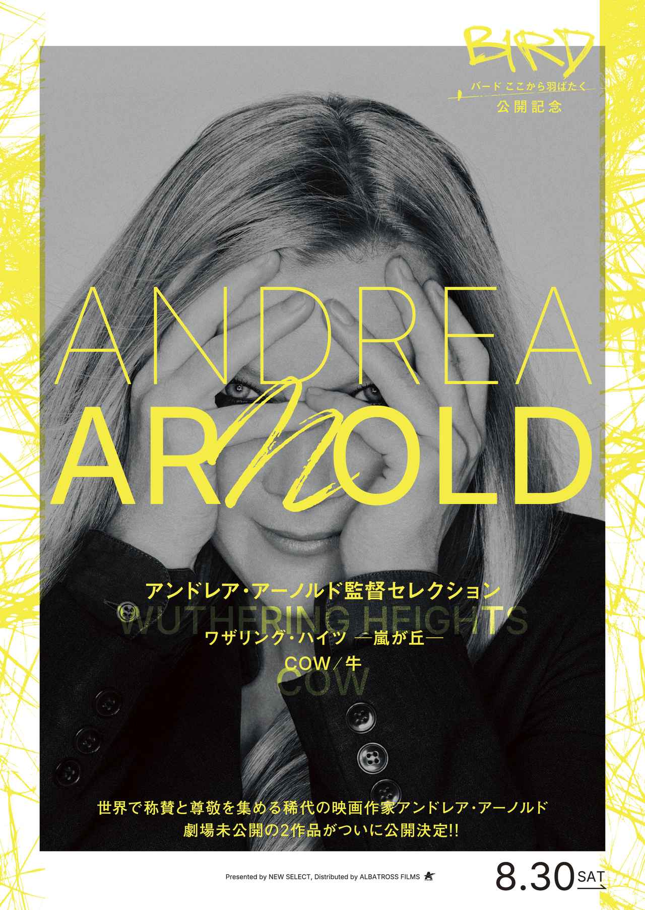 画像2: File.10 　あやしい少年から温かいパパ役へ、クセモノ男優、バリー・コーガンの成長を追う『バード　ここから羽ばたく」【連載：大森さわこの“英国・映画人File”】