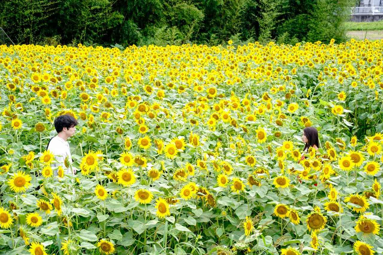 画像2: 映画は準備と同時に現場の瞬発力も重要