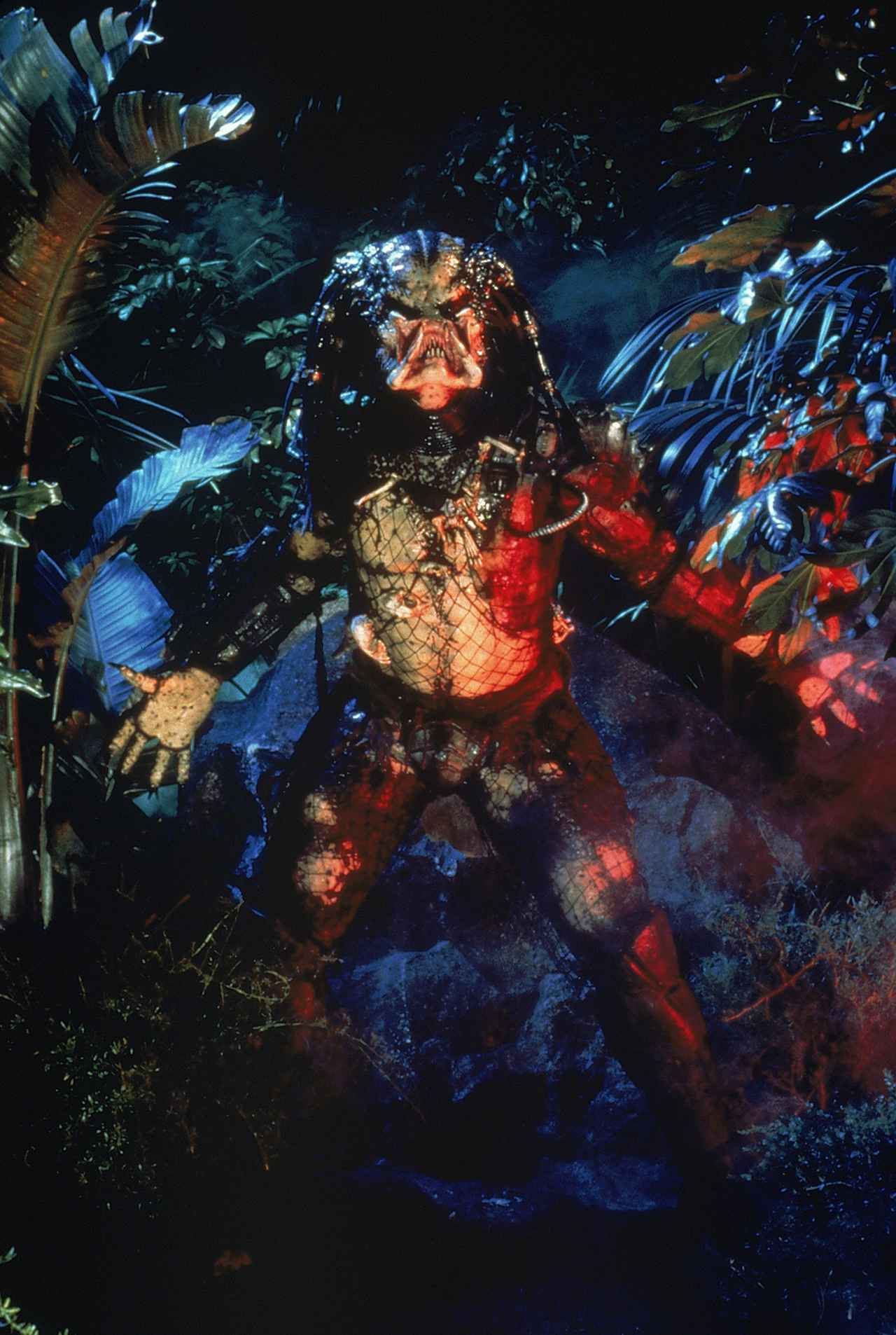 画像1: アーノルド・シュワルツェネッガーVS凶悪な異星人