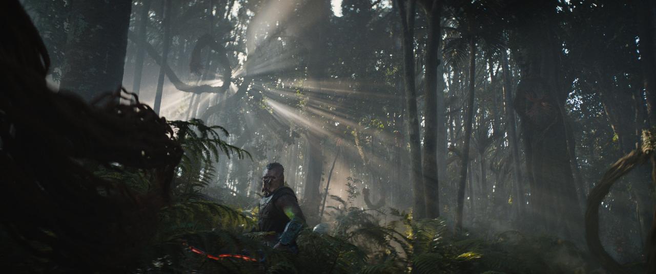 画像: 5)“ジャングル”も登場! お約束も踏襲