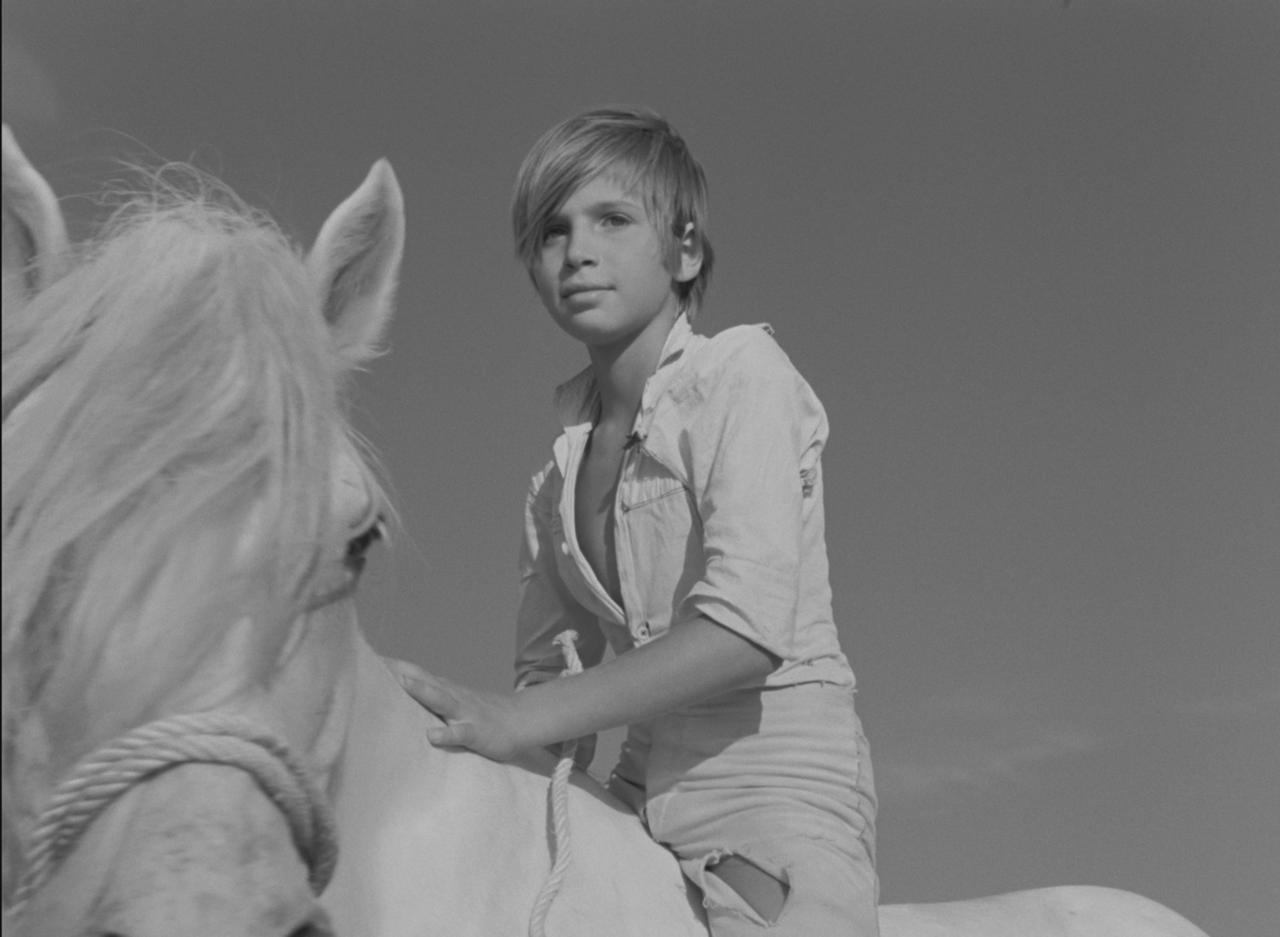 画像: 『白い馬』