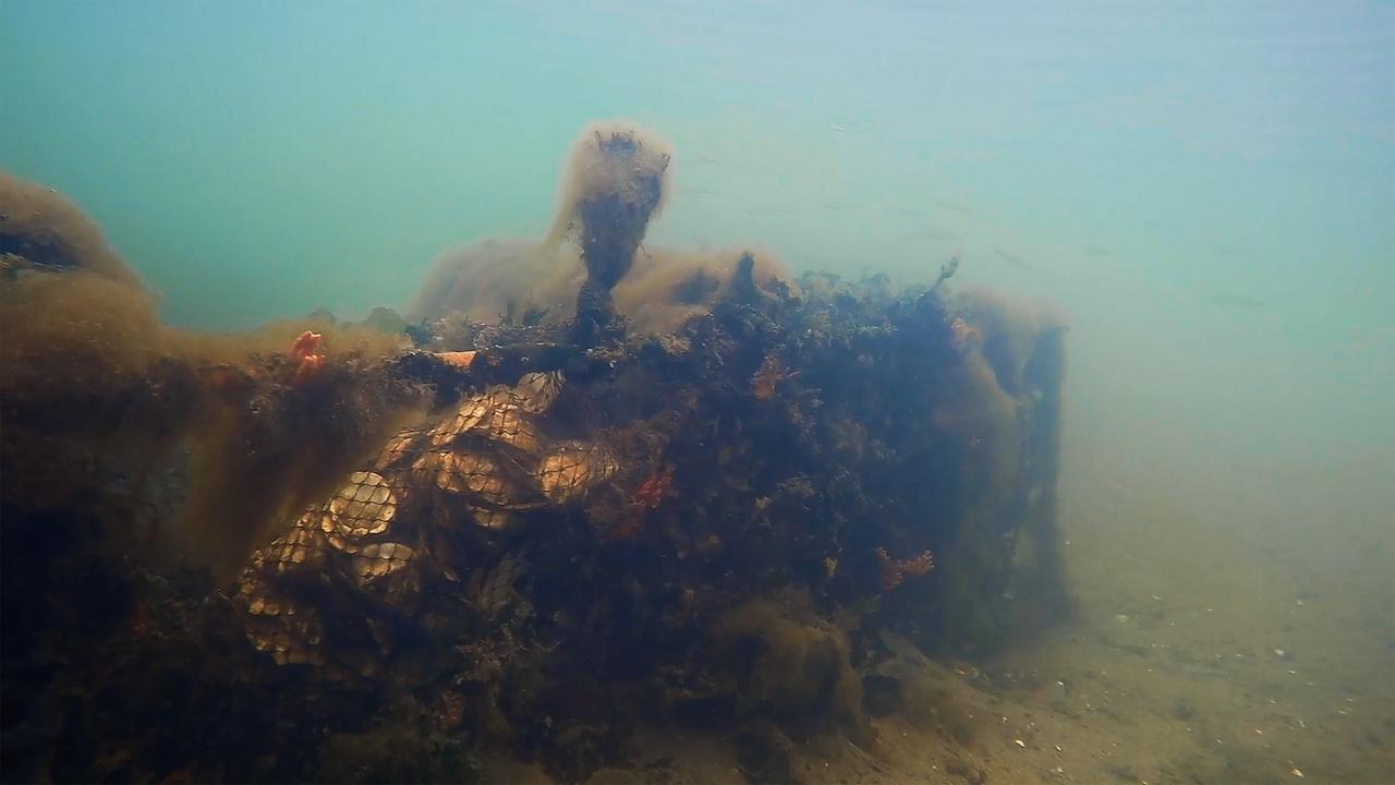 画像 : 10番目の画像 - 『水の中で息をする −彼⼥でも彼でもなく−』 - SCREEN ONLINE（スクリーンオンライン）