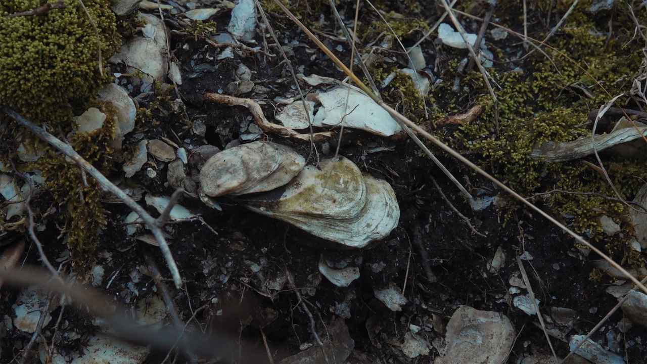 画像 : 3番目の画像 - 『水の中で息をする −彼⼥でも彼でもなく−』 - SCREEN ONLINE（スクリーンオンライン）