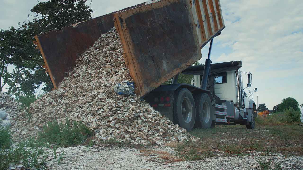 画像 : 6番目の画像 - 『水の中で息をする −彼⼥でも彼でもなく−』 - SCREEN ONLINE（スクリーンオンライン）