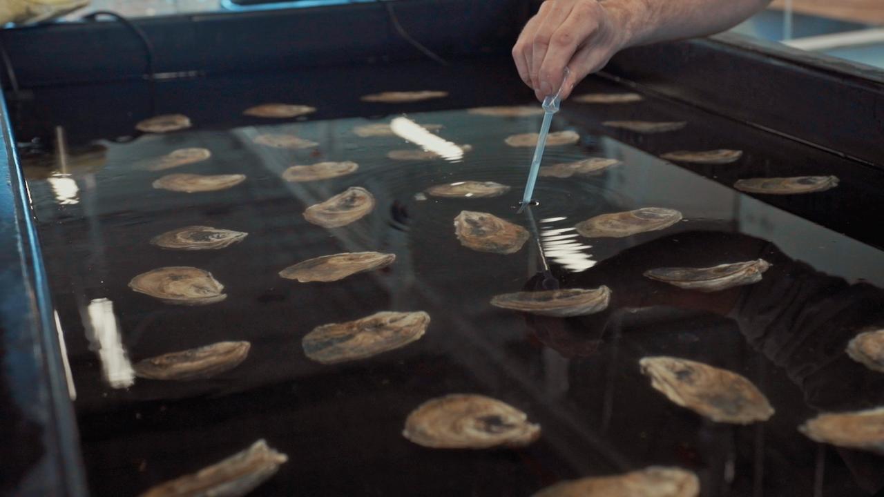 画像 : 8番目の画像 - 『水の中で息をする −彼⼥でも彼でもなく−』 - SCREEN ONLINE（スクリーンオンライン）