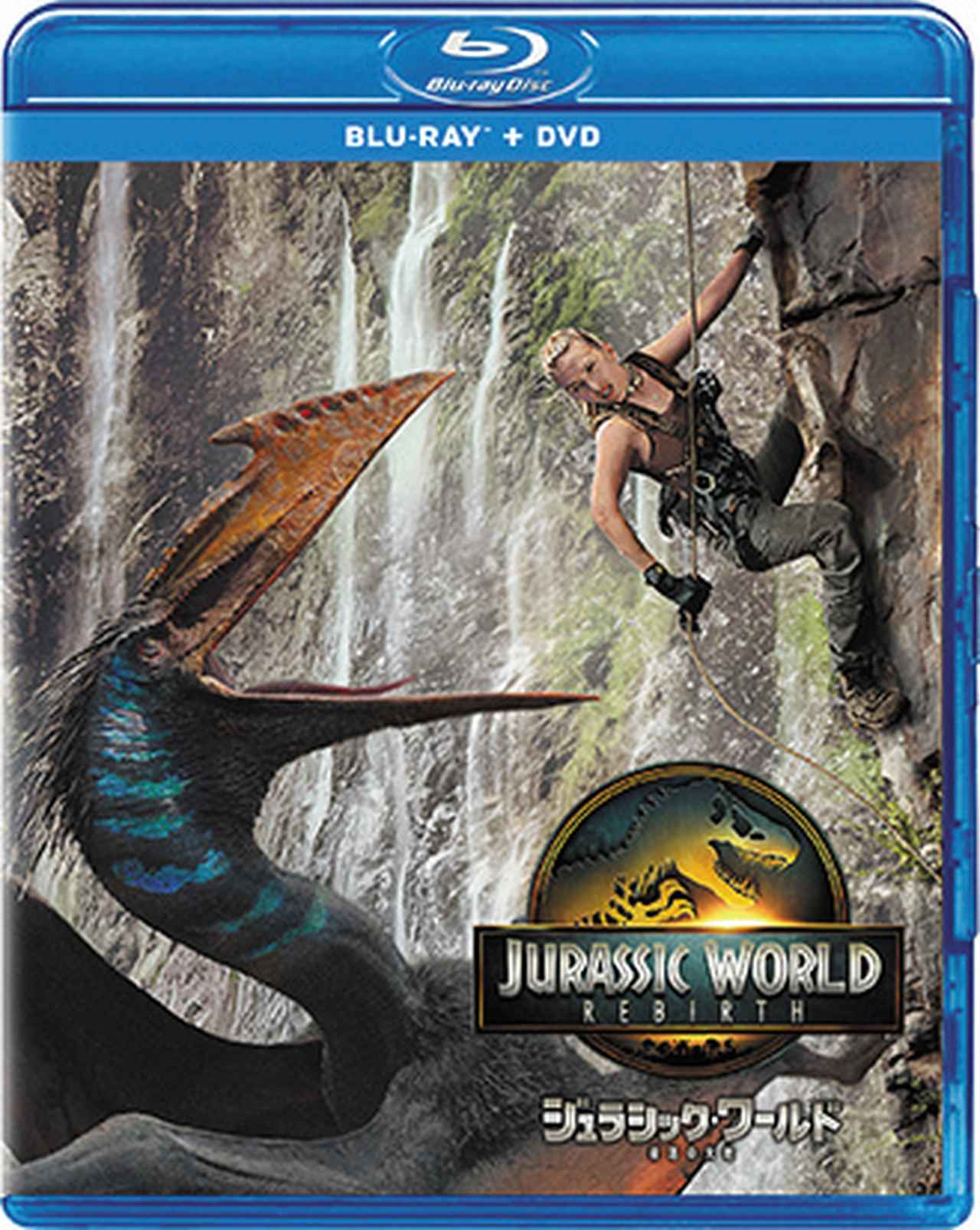 画像: ブルーレイ&DVD