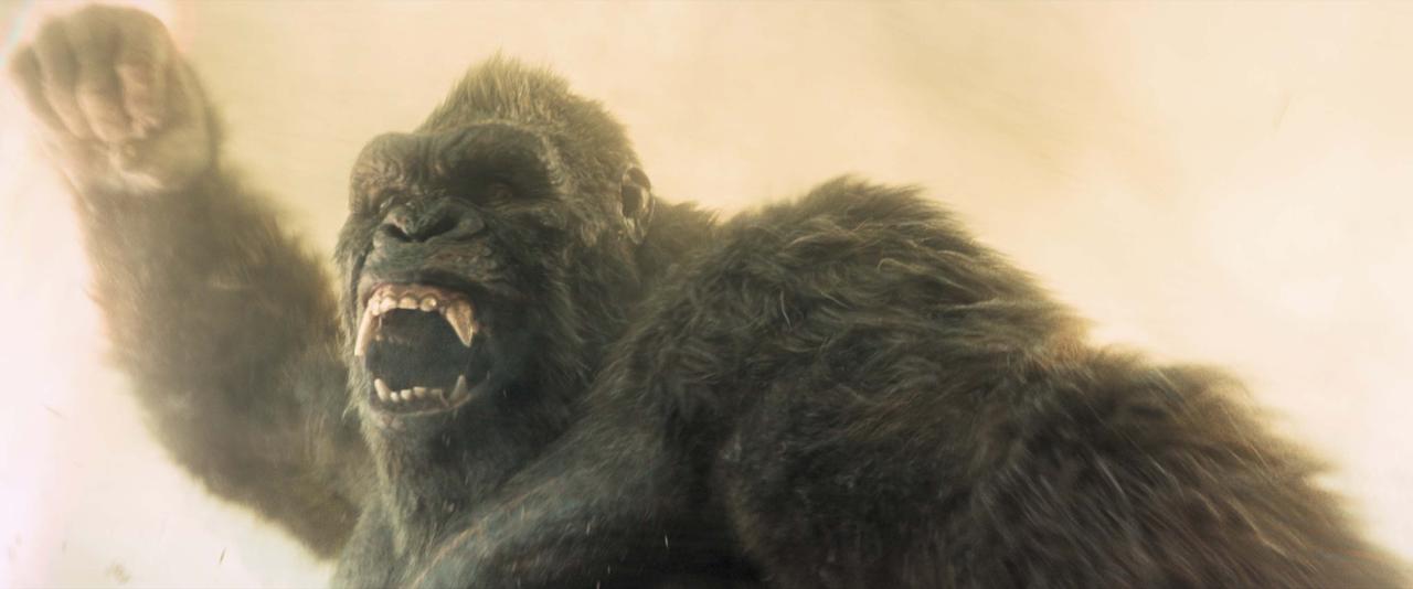 画像: DRAMA「モナーク:レガシー・オブ・モンスターズ」シーズン2