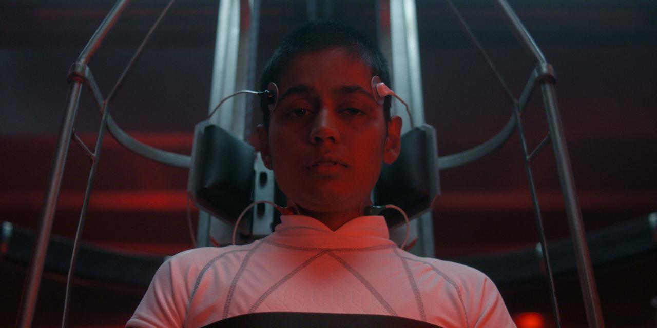 画像: 軍はカリを捕らえて何を研究していたのか