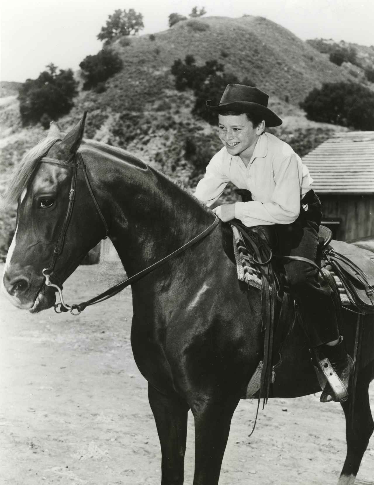 画像: 『マイ・フレンド・フリッカ　緑園の名馬』