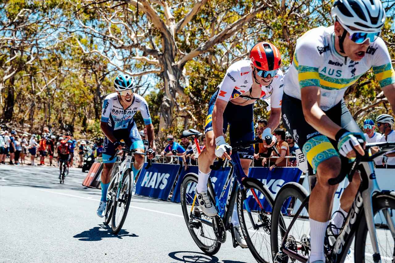 画像14: 【アマプラ】「Prime Video」2026年1月の配信ラインナップが発表！