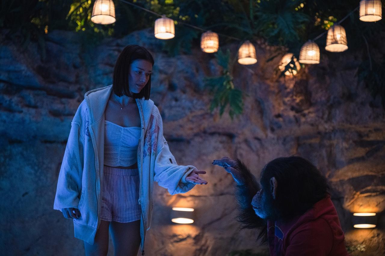 画像1: Z世代が熱狂する＜新感覚パニック・スリラー＞、全米でスマッシュヒット！