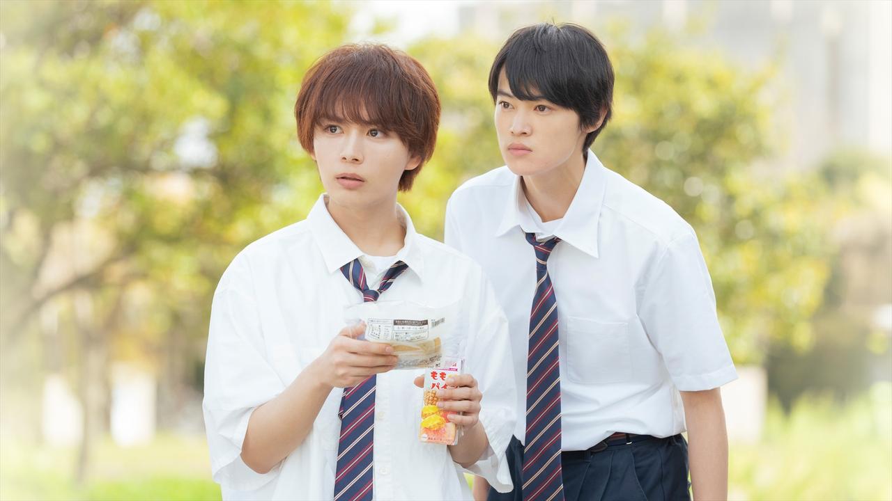 画像: 『恋を知らない僕たちは』©2025「恋を知らない僕たちは」製作委員会　©水野美波／集英社