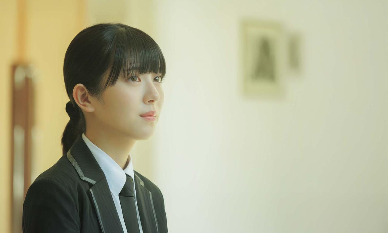 画像2: 作品紹介