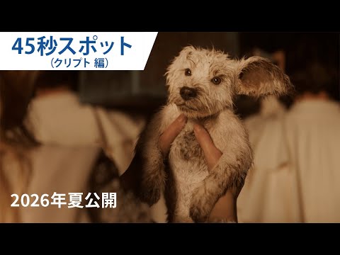 画像: 映画『スーパーガール』45秒スポット クリプト編 | 2026年夏 日本公開決定！ youtu.be
