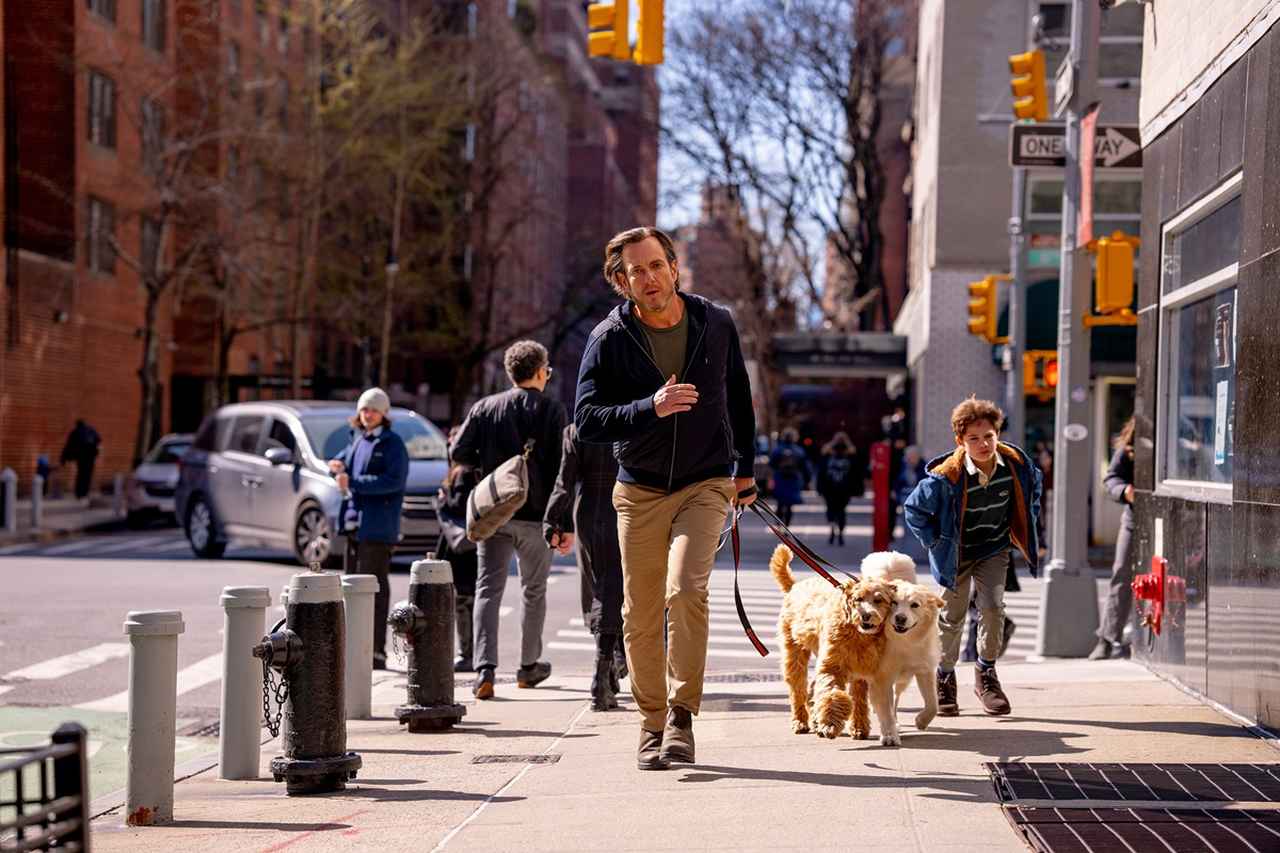 画像2: ブラッドリー・クーパー監督最新作『これって生きてる？』本予告映像解禁！！