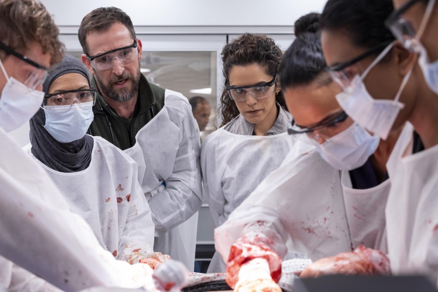 画像3: 数ある医療ドラマの中で「ザ・ピット」が支持されるのはなぜか？