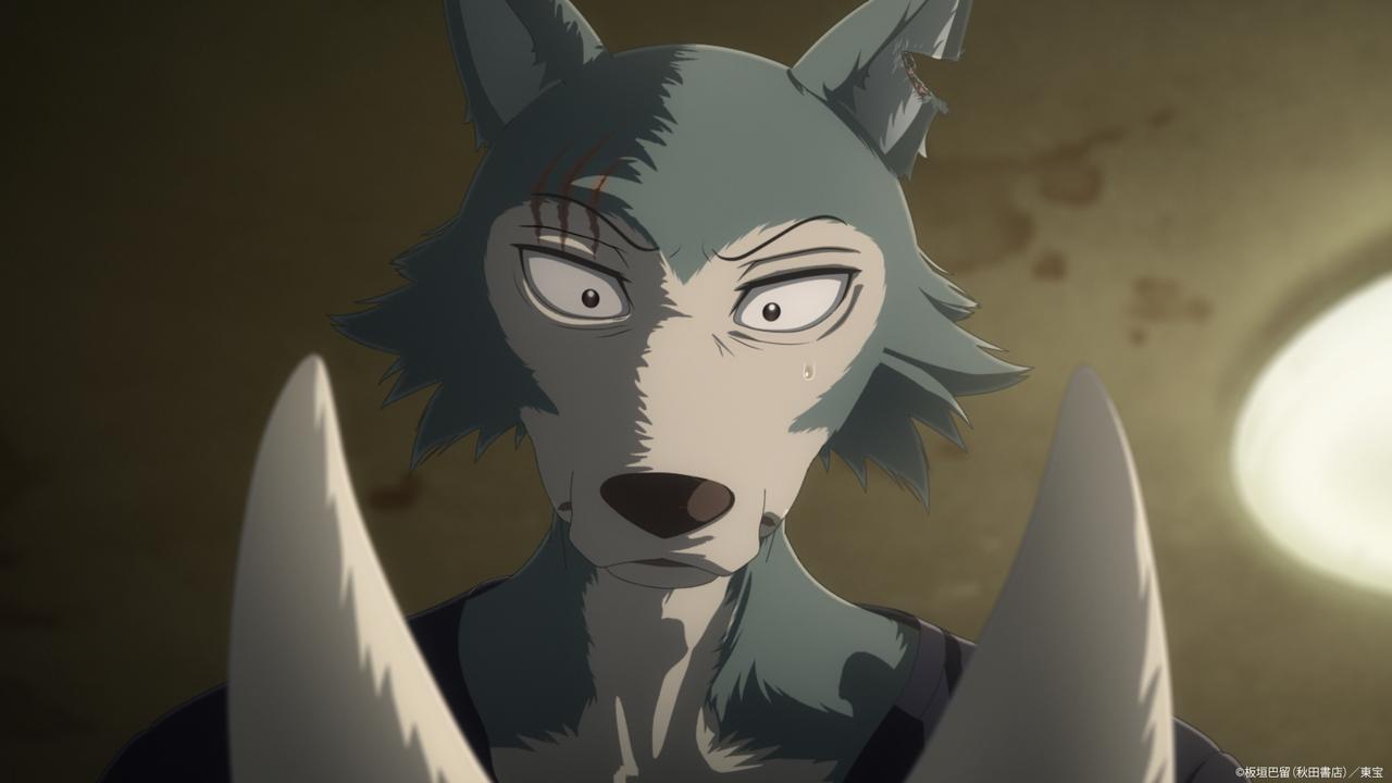画像: 「BEASTARS FINAL SEASON Part2」3月7日独占配信