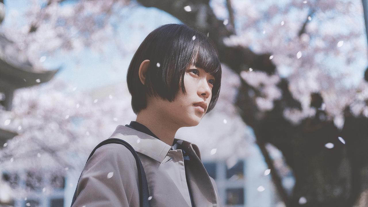 画像: 『朽ちないサクラ』©2024 映画「朽ちないサクラ」製作委員会