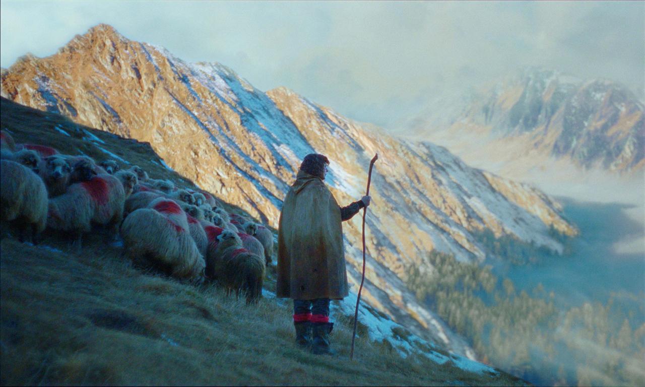 画像: ダーシャ