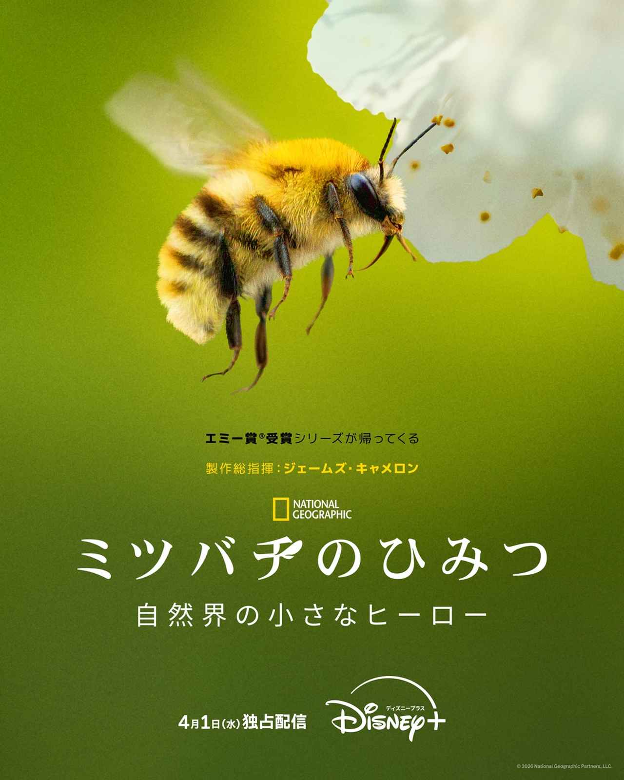 画像7: 【ディズニープラス】「Disney+」2026年4月の注目の配信作が発表！