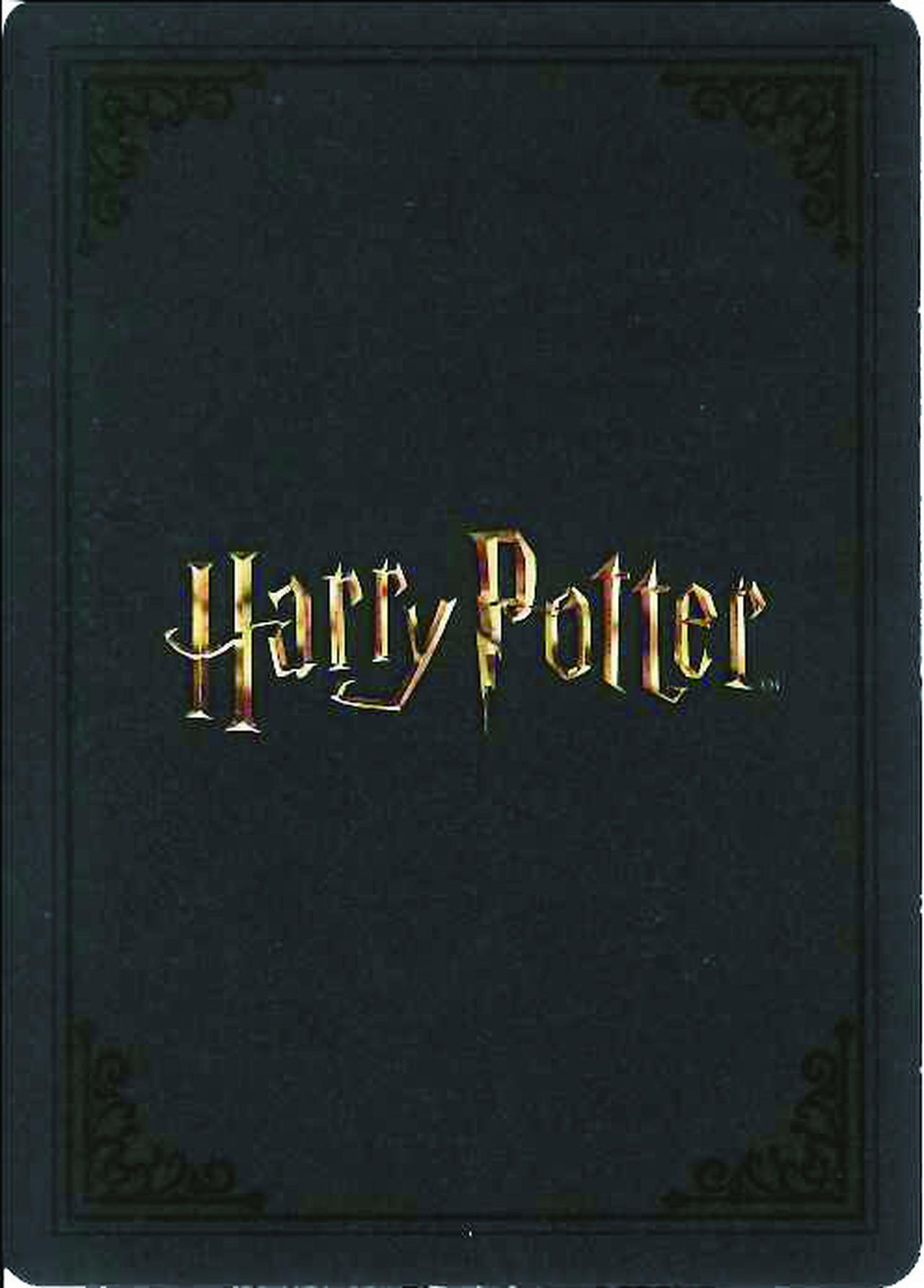 画像8: 【4月25日（土）第1弾発売！】コレクション性も抜群！映画「ハリー・ポッター」がカードゲームになって登場！