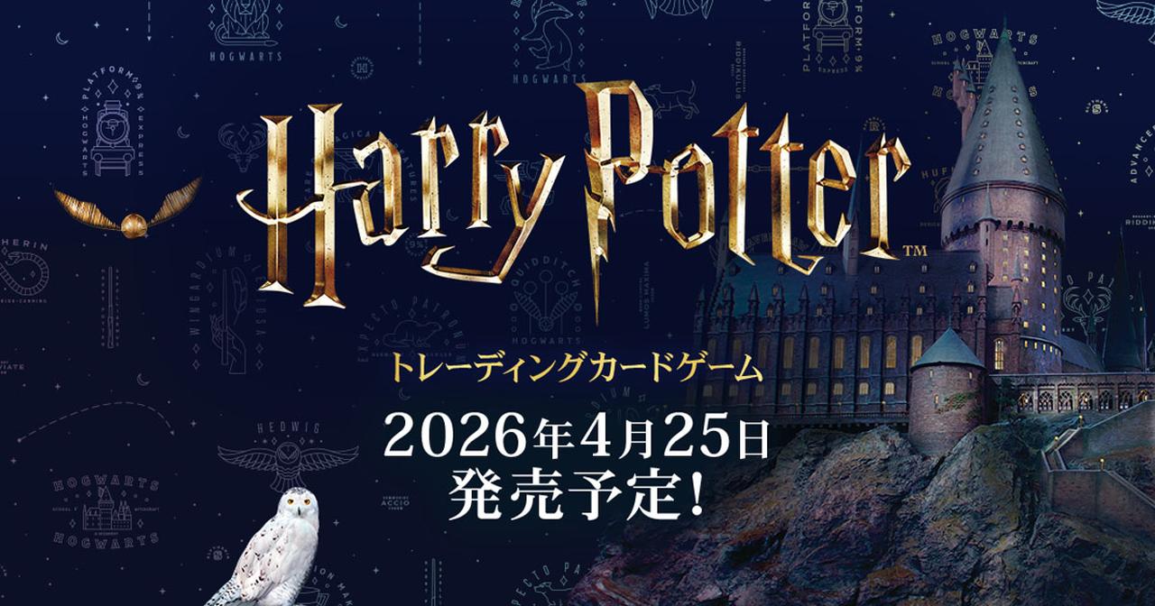 画像: Harry Potter トレーディングカードゲーム