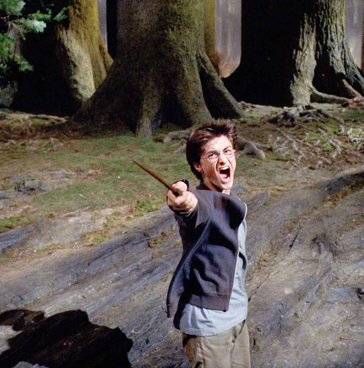 画像: 好きな呪文部門