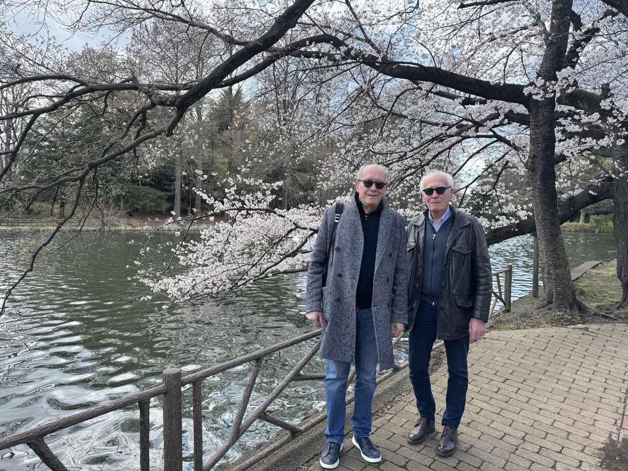 画像2: 歌舞伎、お花見、小旅行、そしてお餅！